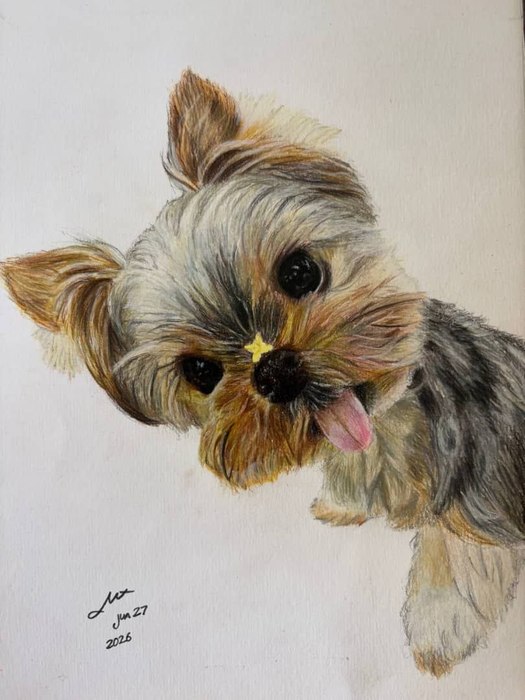 Tiny Sunshine / Mehrnoosh Teimoori / 24 × 7.5 cm / June 27, 2026 / Colored Pencil on Paper / Price upon request