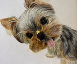 Tiny Sunshine / Mehrnoosh Teimoori / 24 × 7.5 cm / June 27, 2026 / Colored Pencil on Paper / Price upon request