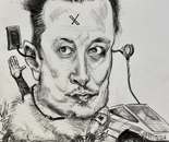 Elon Musk-white supremacy