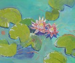 Waterlilies