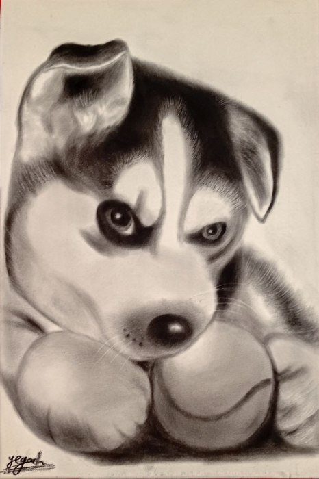 Playful Gaze / Yeganeh Saberi Jamal / 20 × 30 cm / 2019 / Charcoal Drawing / Price upon request