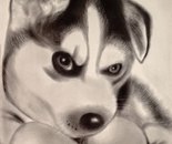 Playful Gaze / Yeganeh Saberi Jamal / 20 × 30 cm / 2019 / Charcoal Drawing / Price upon request