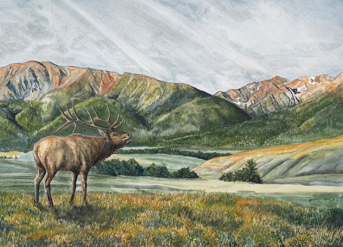 Echos Across Wallowa Valley 2000