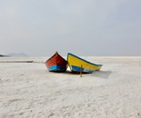 Waiting for the Tide / Sheida Kolyaei / 30 × 20 cm / 2025 / Photography / $500