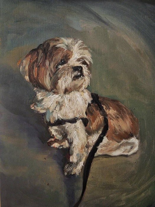 Barney / Raya Tayebi / 30 × 40 cm / 2026 / Oil on Canvas Board / $80