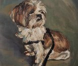Barney / Raya Tayebi / 30 × 40 cm / 2026 / Oil on Canvas Board / $80