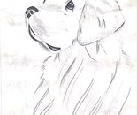 Don’t Leave Me Alone / Mohadese Saberi Hoseinabad / 20 × 30 cm / 2020 / Pen Drawing / $10