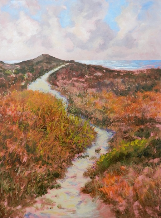 Colors Of The Dunes   