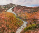 Colors Of The Dunes   