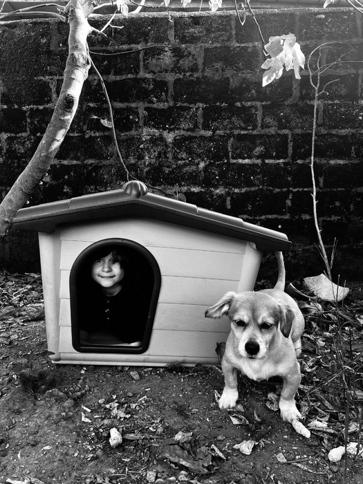 Home / Atena Poorjamshidiyan / 30 × 40 cm / 2026 / Photography / Price upon request