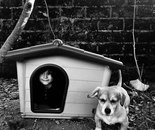 Home / Atena Poorjamshidiyan / 30 × 40 cm / 2026 / Photography / Price upon request
