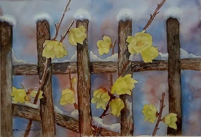 The Four Seasons / Golshan Hamedi / 50 × 43 cm / 2018 / Watercolor / $200