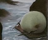 Apple of Life / Malihe Mirzae /i 30 × 40 cm / 2024 / Oil Painting / Not for Sale