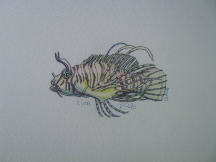 Lionfish