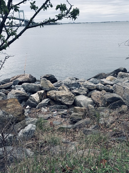 Little Bay Park
