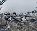 Little Bay Park