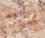 Sunwarmed rocks