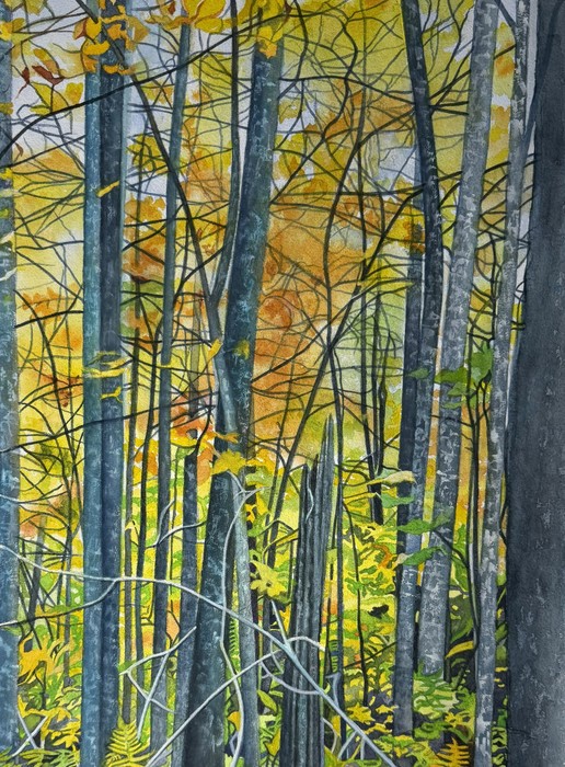 Pine Mountain Drive in Autumn