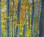 Pine Mountain Drive in Autumn