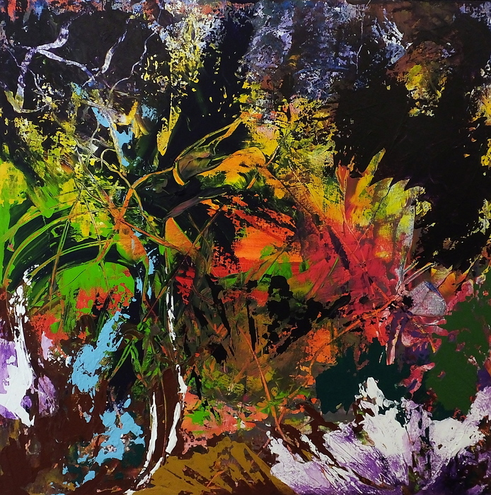 Colorful Feathers