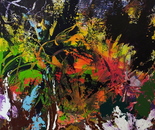 Colorful Feathers