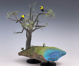 "The Pond"