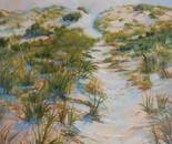 Dune Trace