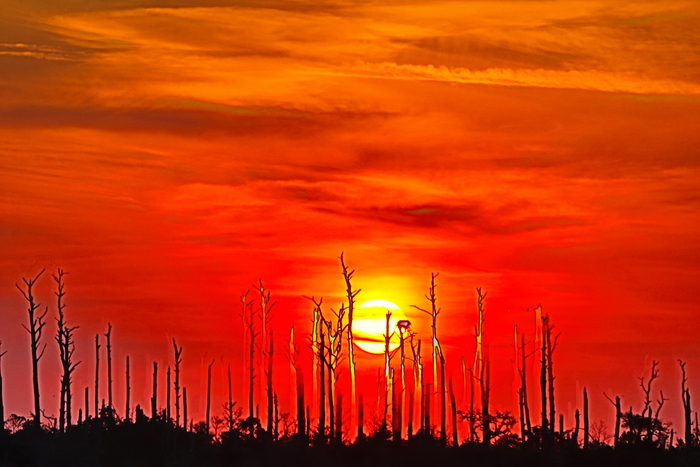 Sunrise on the Outer Banks