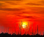 Sunrise on the Outer Banks
