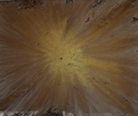 The Birth if Light