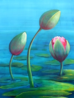 waterroses