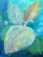 Growth