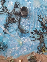 Debris of Our Making 