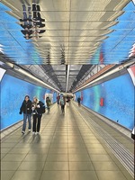 Invitation- M Spagna Rome