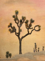 Joshua Tree Forest #1