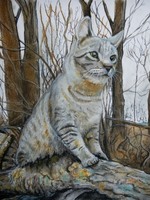 Sir James entdeckt die Welt (Sir James Discovers the World)