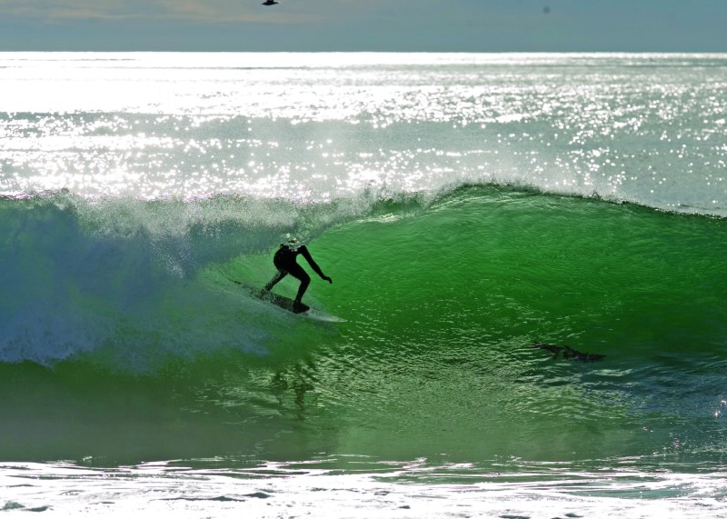 James Antonelli Barreled again