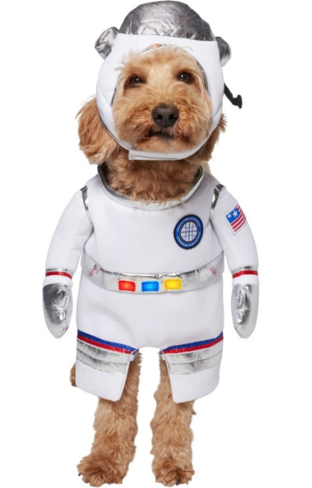 Astronaut Costume