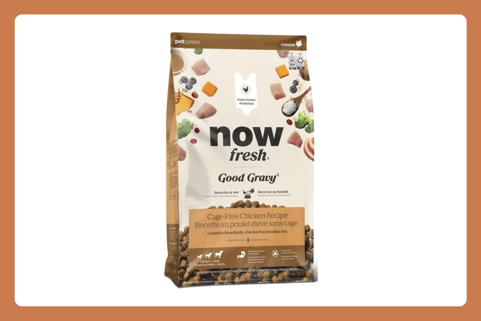 ドッグフード now fresh Good Gravy NOW FRESH Good Gravy Ancient Grains Adult Chicken Recipe Dry Dog