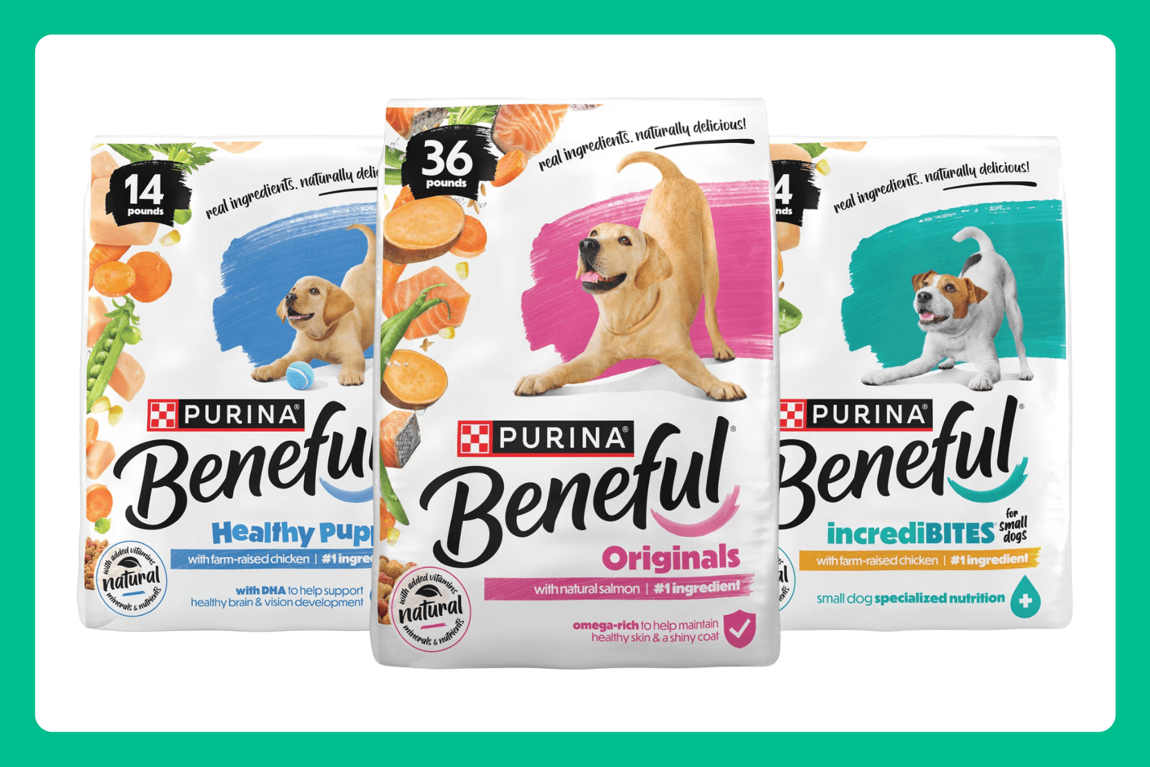 barking heads wet dog food offers Wet Dog Food Mega Pack 40 Pouches