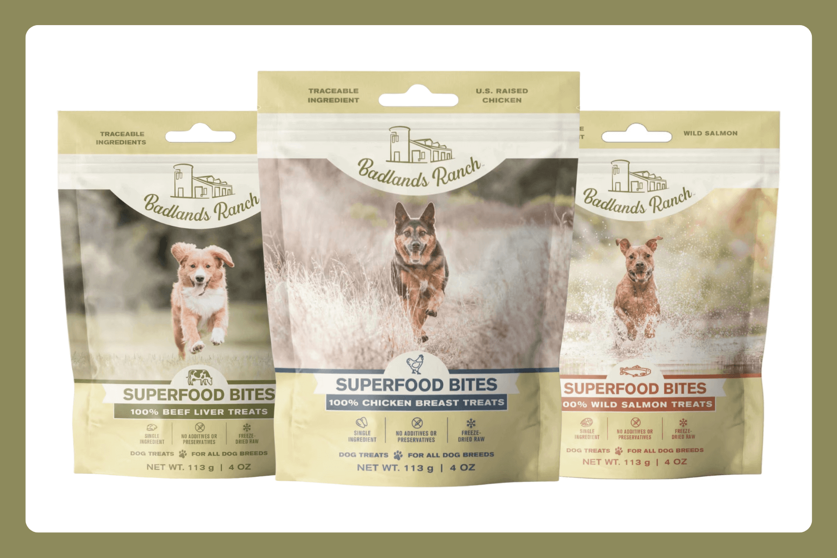 arthritis dry food for cats royal canin Solensia 1mL Vial for Cat Arthritis Treatment