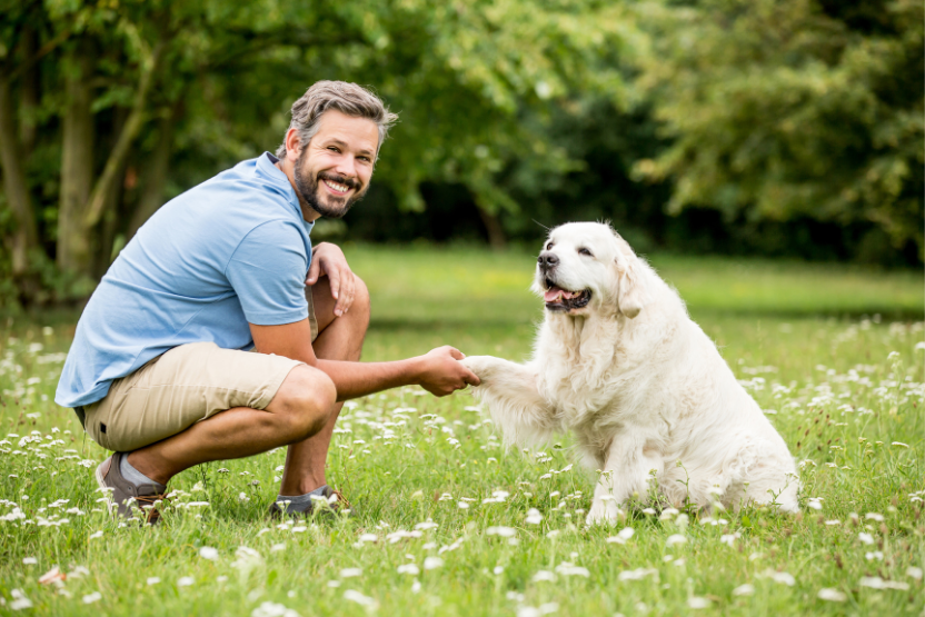 person kneeling beside golden dog and holding their paw