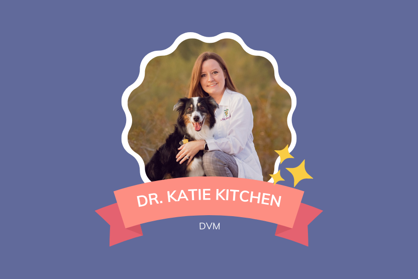 dr katie kitchen scottsdale arizona veterinarian with her australian shepherd mason