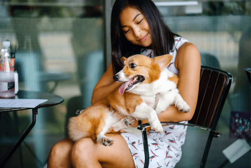 Dog mom and Corgi at a table in a restaurant