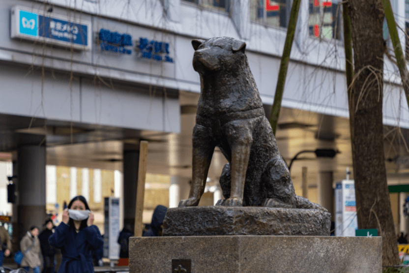 famous statue of Hachiko the Akita dog in Japan