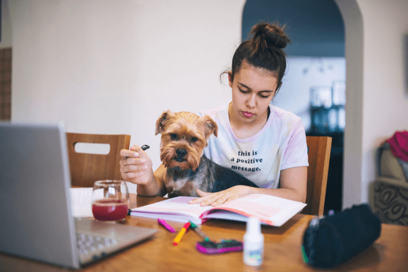 girl studying in dorm room with dog