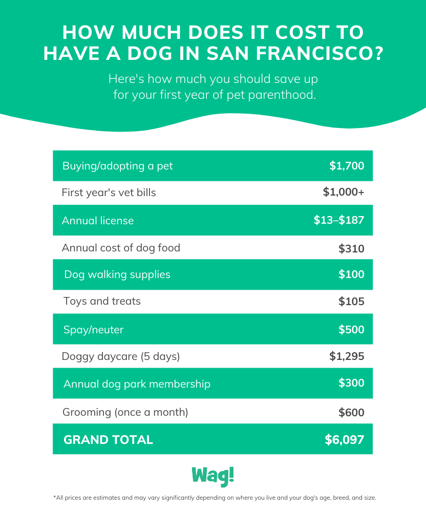 average costs of owning a dog in san francisco infographic with green, white, and gray text