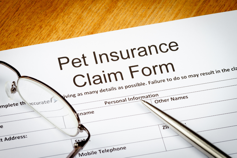 pet insurance claim form on a clipboard next to pair of glasses