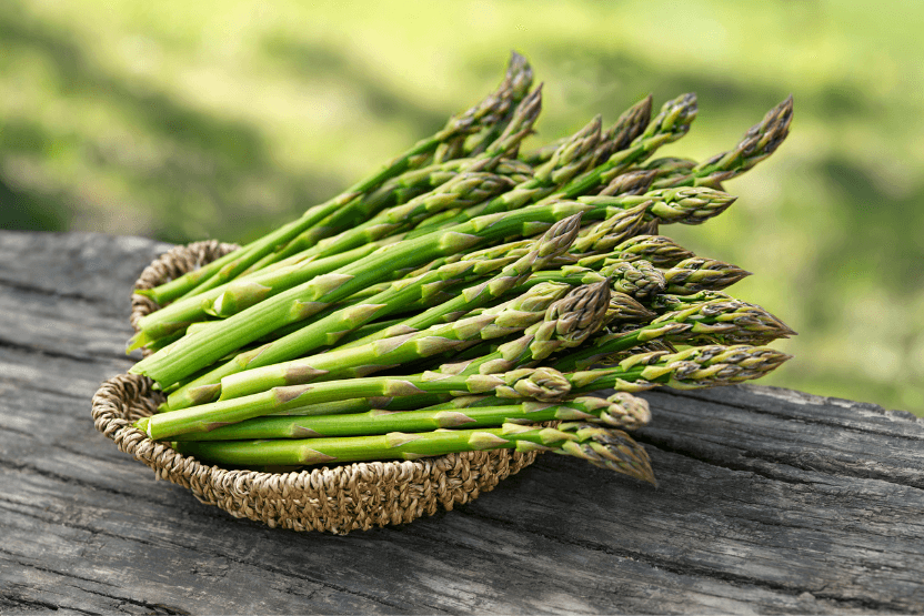 plate of fresh asparagus spears - can cats eat asparagus