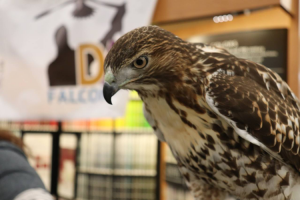 18 Fort Collins Classes Where You Can Learn a New Skill